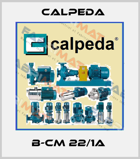 B-CM 22/1A  Calpeda