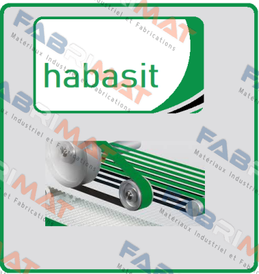 nach Zeichnung: FNB-5EQ - 1450  Habasit