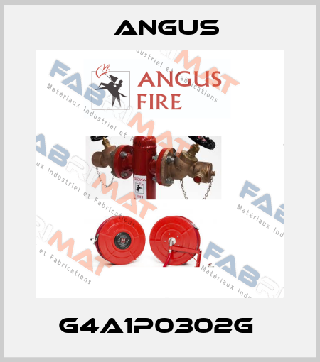 G4A1P0302G  Angus