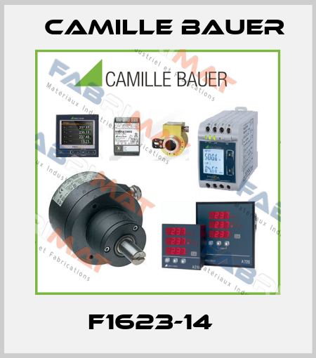 F1623-14   Camille Bauer