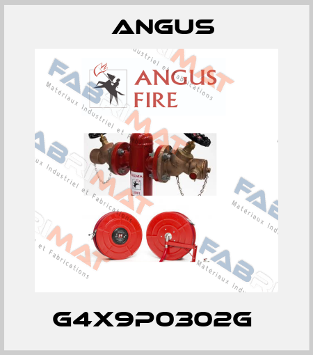 G4X9P0302G  Angus