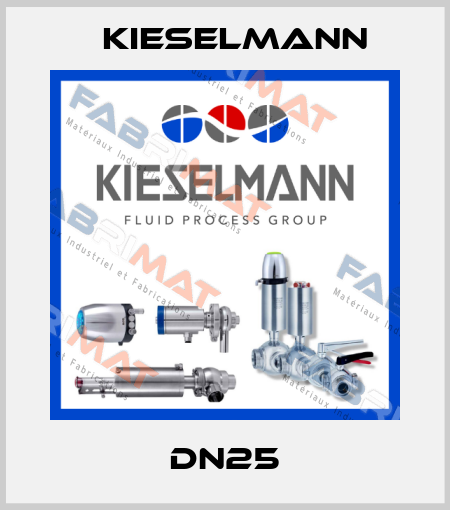 DN25 Kieselmann