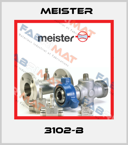 3102-B Meister