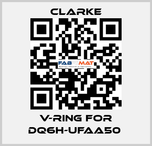 V-Ring for DQ6H-UFAA50  Clarke
