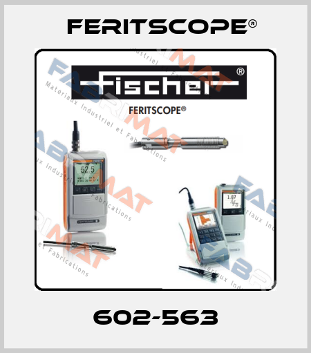 602-563 Feritscope®