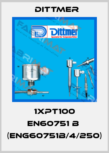 1xPT100 EN60751 B  (eng60751B/4/250) Dittmer