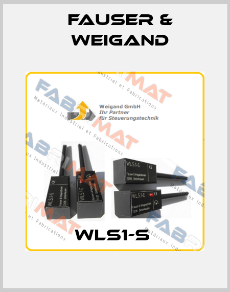 WLS1-S  Fauser & Weigand