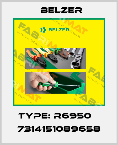 Type: R6950    7314151089658 Belzer