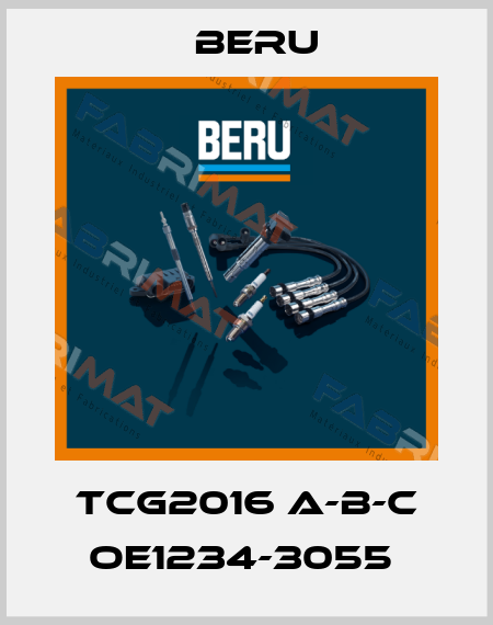 TCG2016 A-B-C OE1234-3055  Beru
