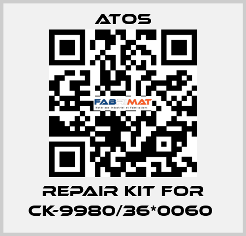 REPAIR KIT FOR CK-9980/36*0060  Atos