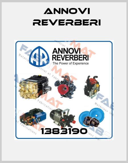 1383190 Annovi Reverberi