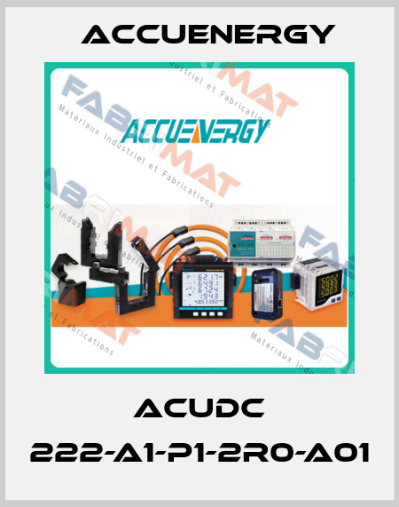 ACUDC 222-A1-P1-2R0-A01 Accuenergy