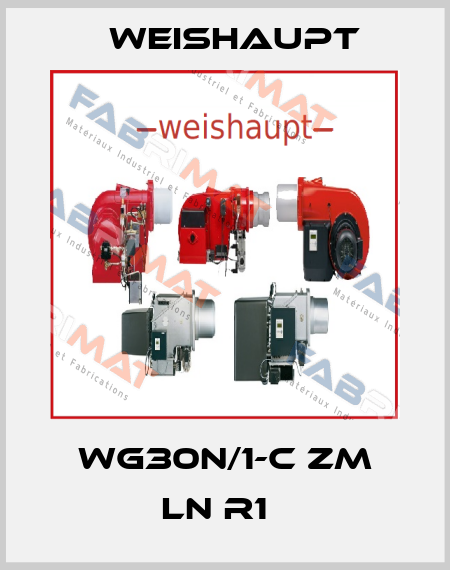WG30N/1-C ZM LN R1   Weishaupt