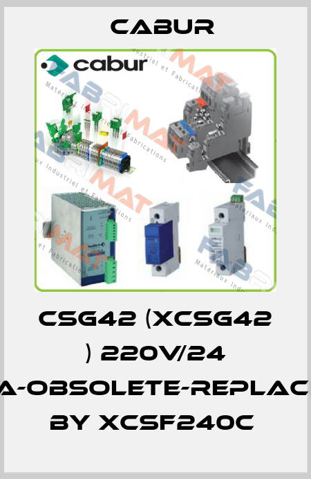 CSG42 (XCSG42 ) 220V/24 10A-obsolete-replaced by XCSF240C  Cabur