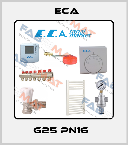 G25 PN16   Eca