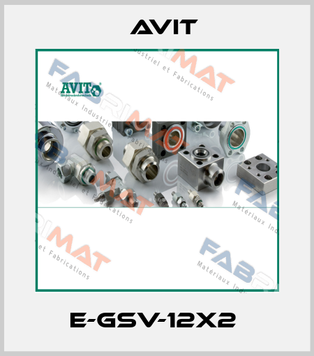 E-GSV-12x2  Avit
