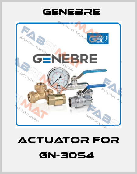 actuator for GN-30S4  Genebre