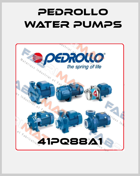 41PQ88A1 Pedrollo Water Pumps