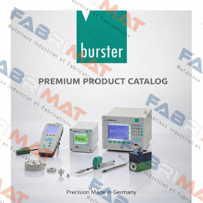 Model Code: 8661 EN  Burster