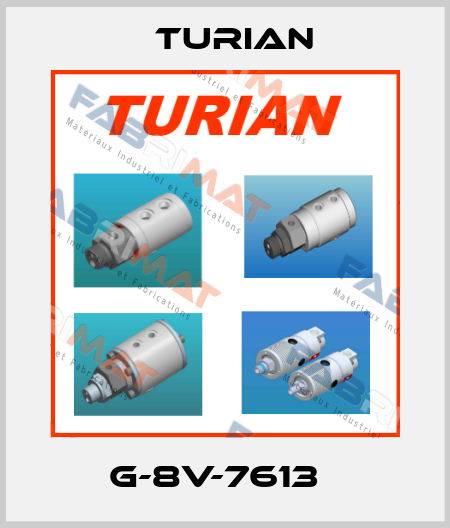G-8V-7613   Turian