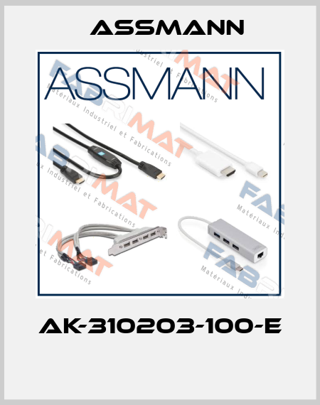 AK-310203-100-E  Assmann