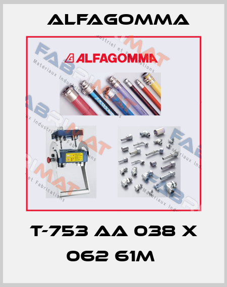  T-753 AA 038 X 062 61M  Alfagomma