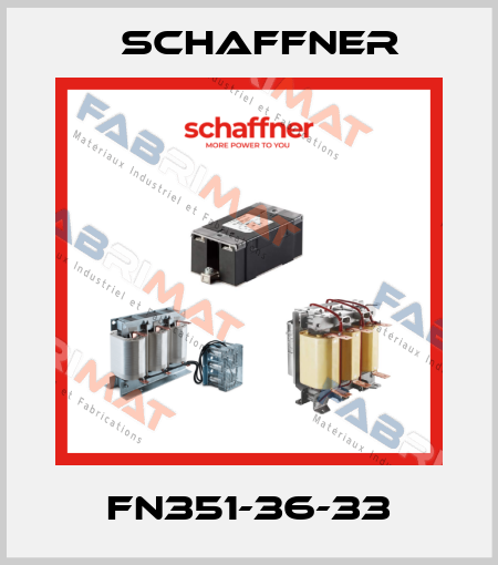 FN351-36-33 Schaffner