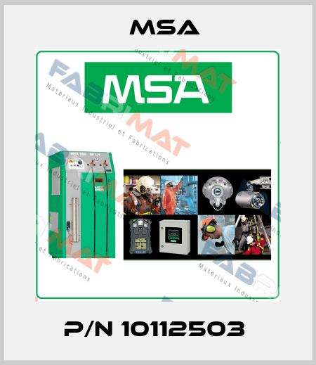 P/N 10112503  Msa