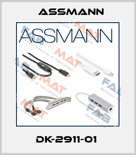 DK-2911-01  Assmann