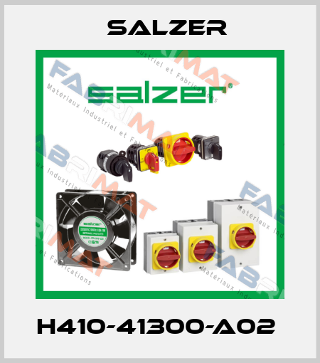 H410-41300-A02  Salzer