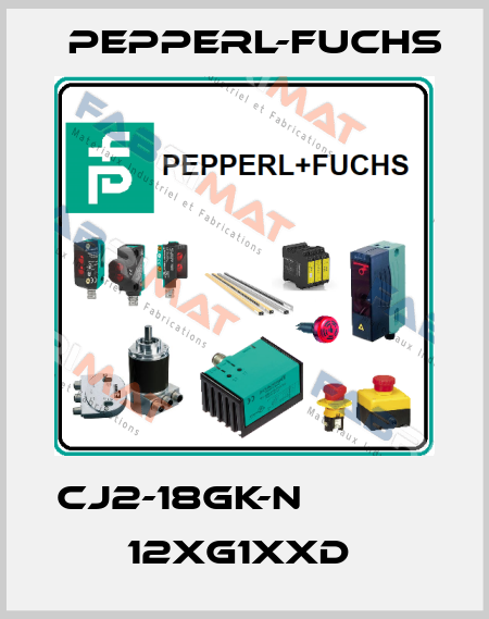 CJ2-18GK-N            12xG1xxD  Pepperl-Fuchs