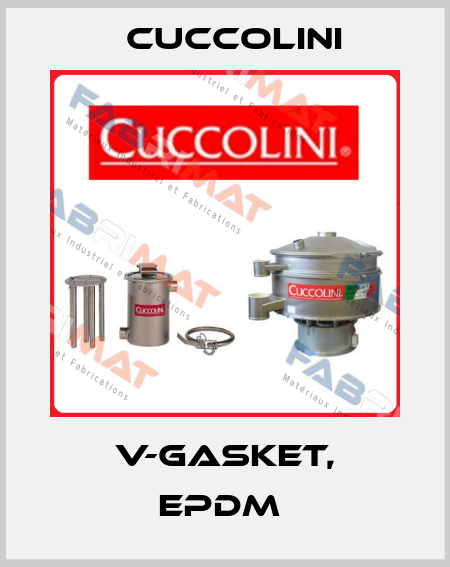 V-gasket, EPDM  Cuccolini