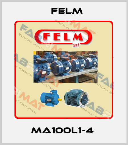 MA100L1-4  Felm