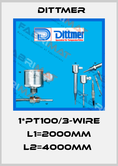 1*PT100/3-WIRE L1=2000mm L2=4000mm  Dittmer
