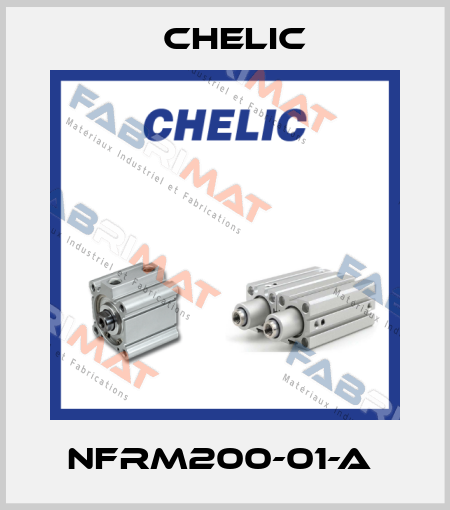 NFRM200-01-A  Chelic