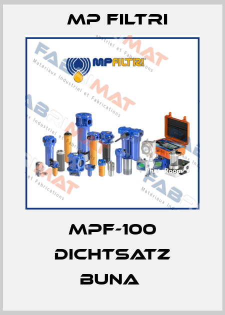 MPF-100 DICHTSATZ BUNA  MP Filtri