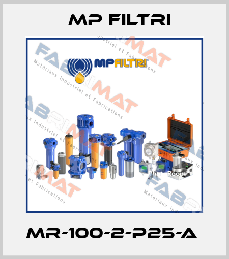 MR-100-2-P25-A  MP Filtri