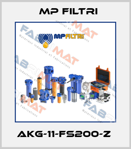 AKG-11-FS200-Z  MP Filtri