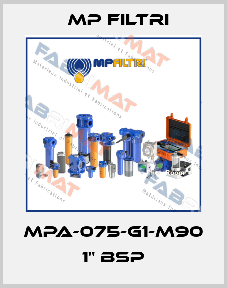 MPA-075-G1-M90    1" BSP MP Filtri
