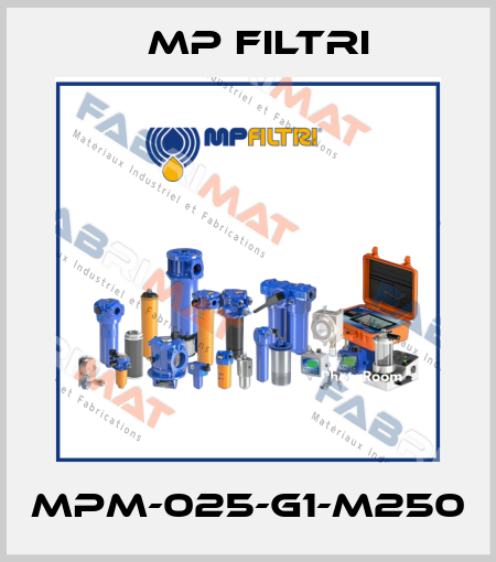MPM-025-G1-M250 MP Filtri