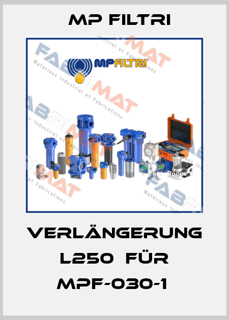 Verlängerung L250  für MPF-030-1  MP Filtri