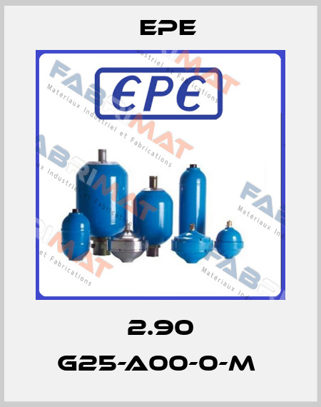 2.90 G25-A00-0-M  Epe