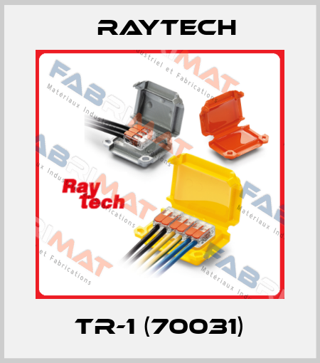 TR-1 (70031) Raytech