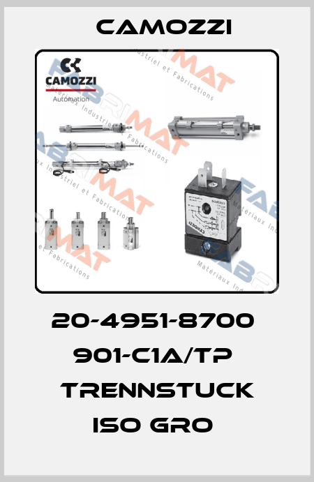 20-4951-8700  901-C1A/TP  TRENNSTUCK ISO GRO  Camozzi