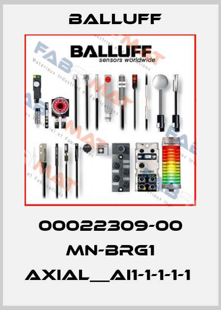 00022309-00 Mn-Brg1 axial__AI1-1-1-1-1  Balluff