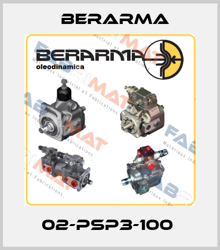 02-PSP3-100  Berarma