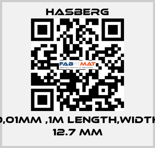 0,01MM ,1M LENGTH,WIDTH 12.7 MM  Hasberg