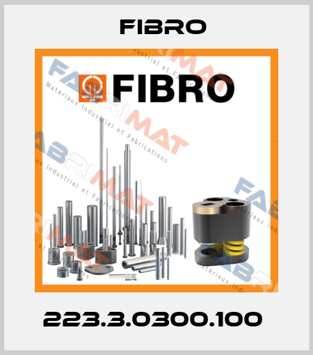 223.3.0300.100  Fibro