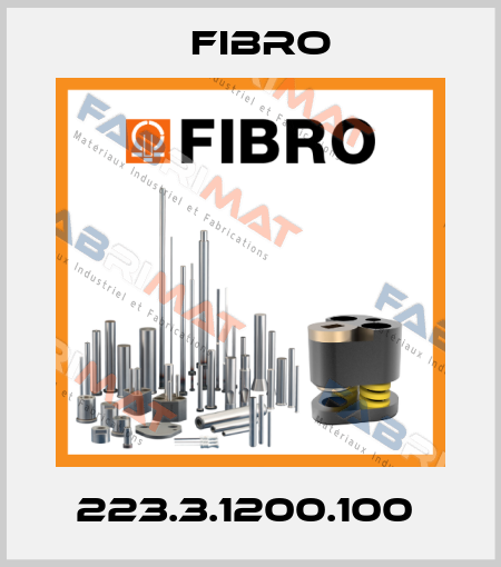 223.3.1200.100  Fibro