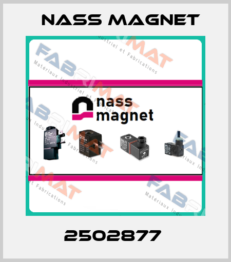 2502877  Nass Magnet